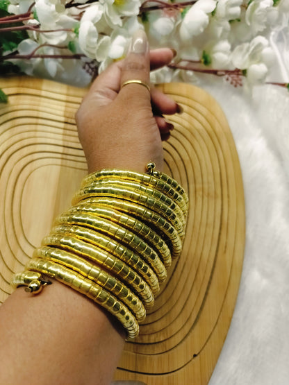 Ruhani Luxurious Bangles